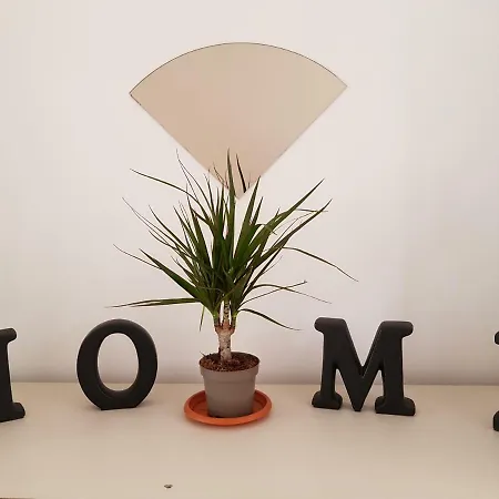 Appartement Gvs Cluj-Napoca